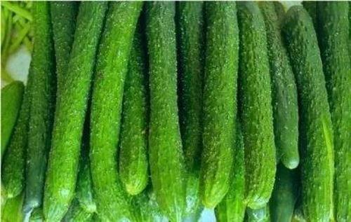 娱乐圈脏到什么程度 热门大瓜每日必吃,热门大瓜每日必吃，揭秘行业黑暗面