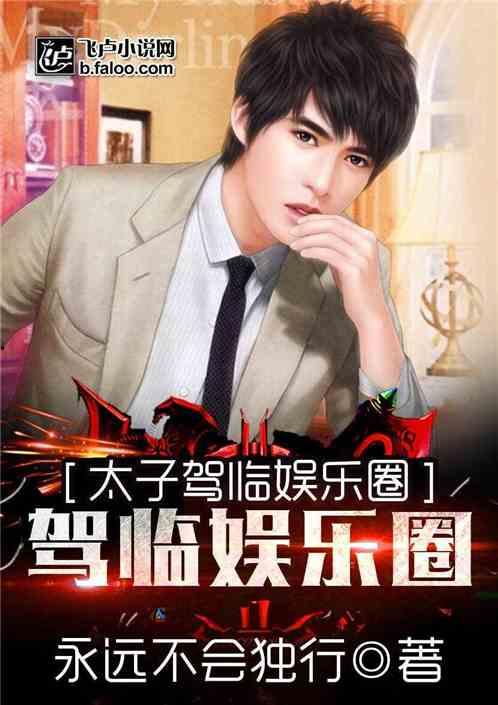 娱乐圈小说 人,星光璀璨的逆袭之路